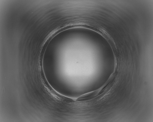X0000054460789200507291347