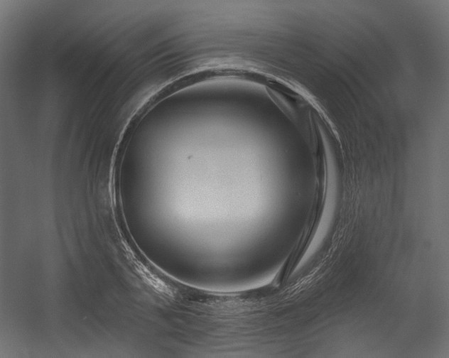 X0000054460791200507291347