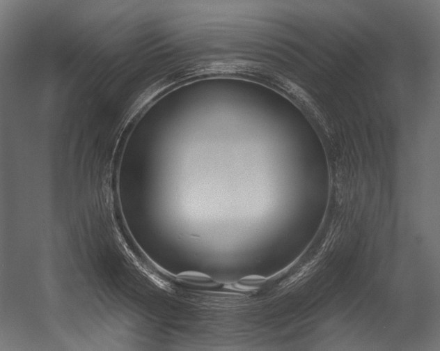 X0000054460794200507291347