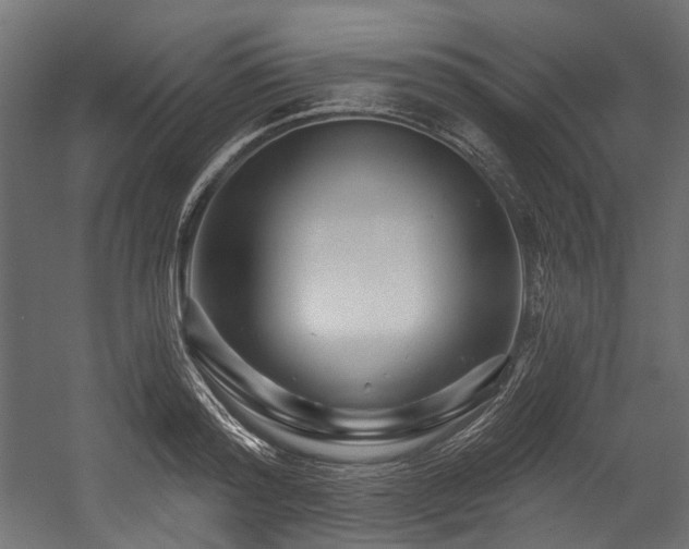 X0000054460796200507291347