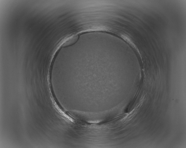 X0000054460797200507291347