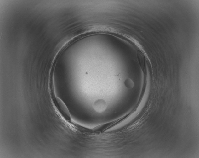 X0000054460799200507291347