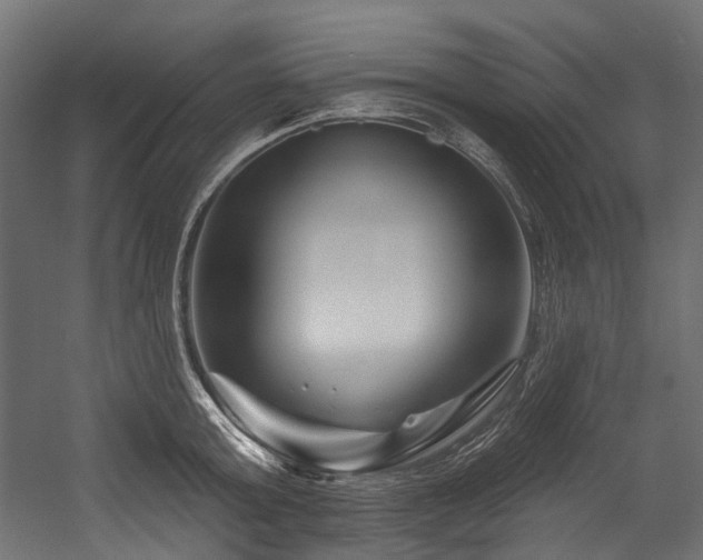 X0000054460803200507291347