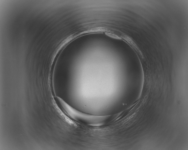 X0000054460805200507291347