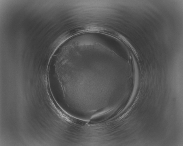 X0000054460810200507291347