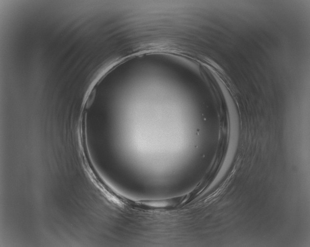 X0000054460812200507291346