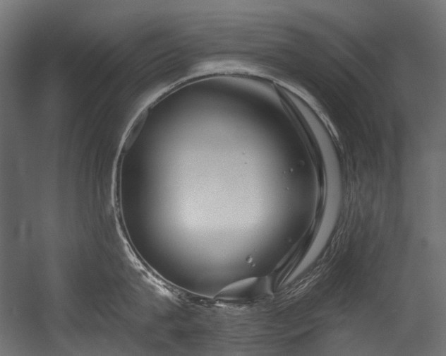X0000054460815200507291346