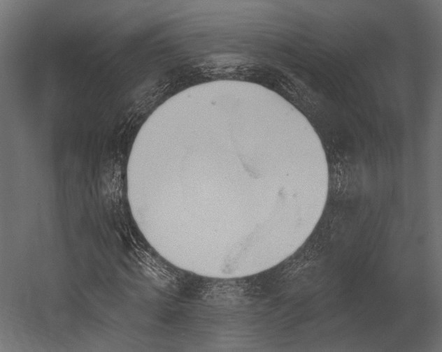 X0000054460820200507291346