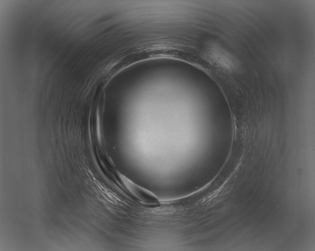 X0000054460825200507291346