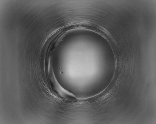 X0000054460826200507291346