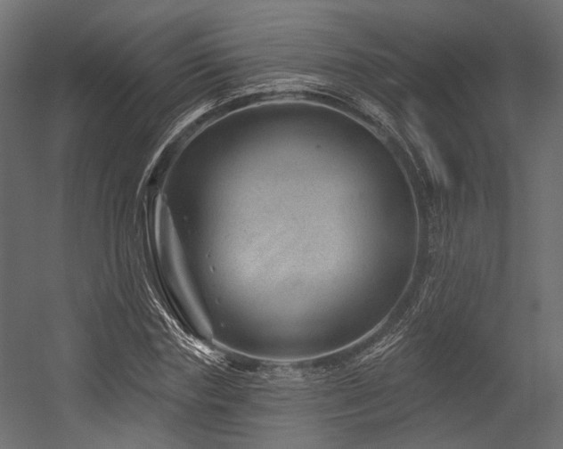 X0000054460827200507291346