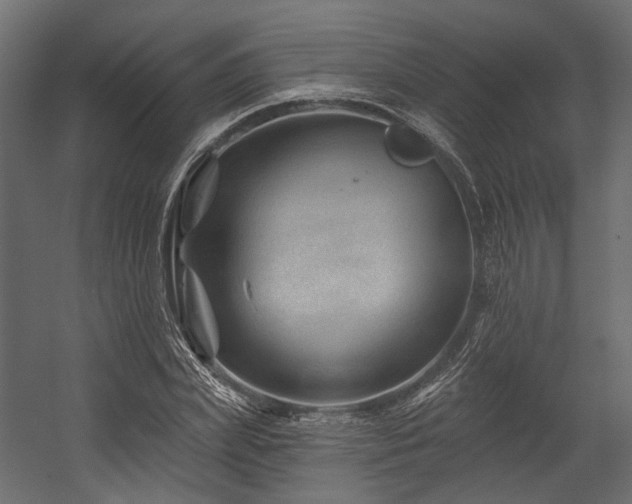 X0000054460831200507291346