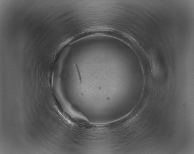 X0000054460833200507291346