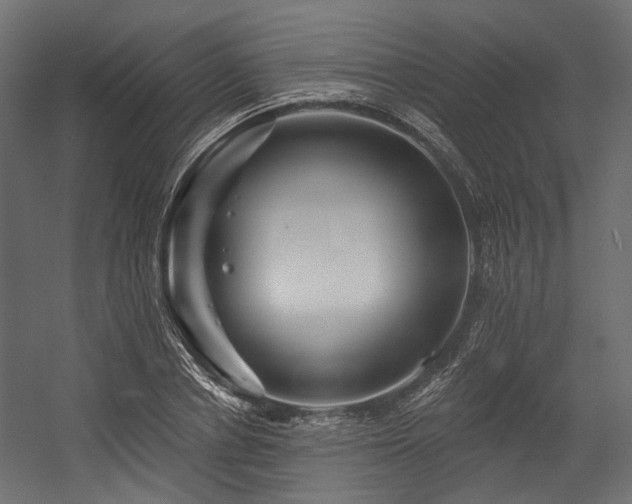 X0000054460834200507291346