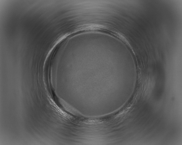 X0000054460835200507291346