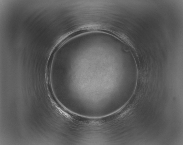 X0000054460839200507291346