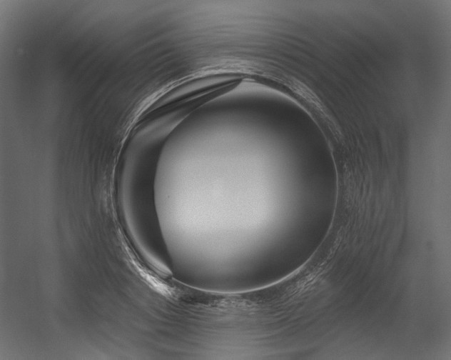 X0000054460842200507291346