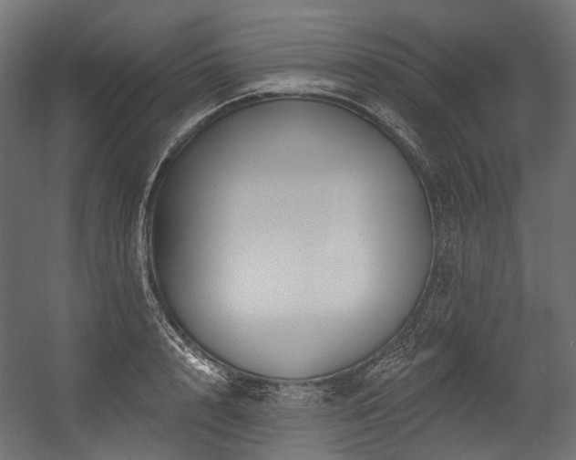 X0000054460848200507291346