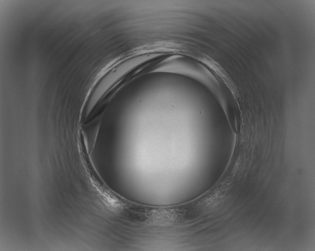 X0000054460850200507291346