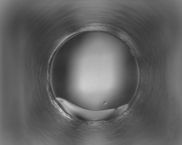 X0000054460852200507291346