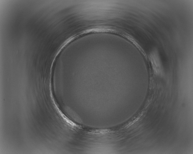 X0000054460853200507291346