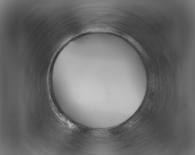 X0000054460856200507291346