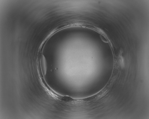 X0000054460859200507291346