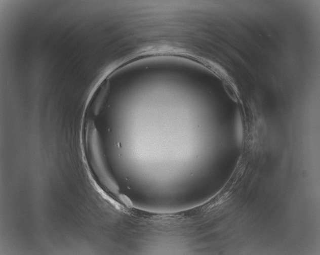 X0000054460863200507291346