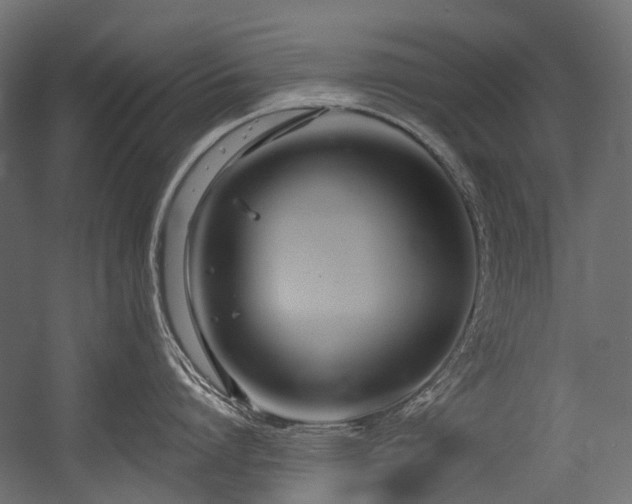 X0000054460864200507291346