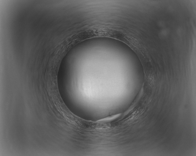 X0000054460865200507291346