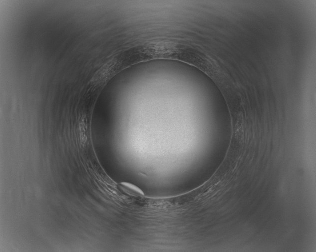 X0000054460866200507291346