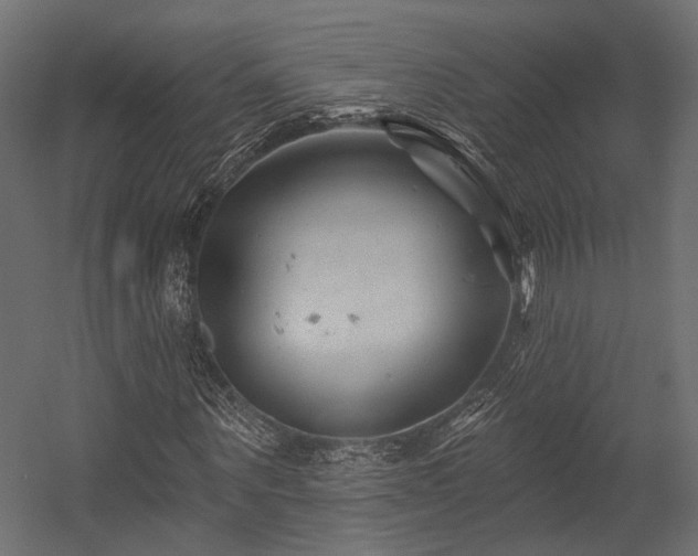 X0000054460867200507291346