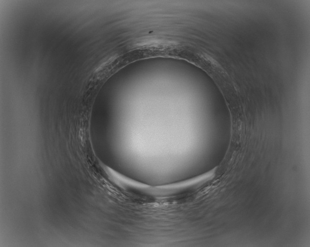 X0000054460869200507291345