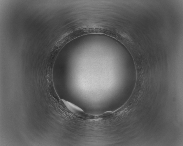 X0000054460870200507291345