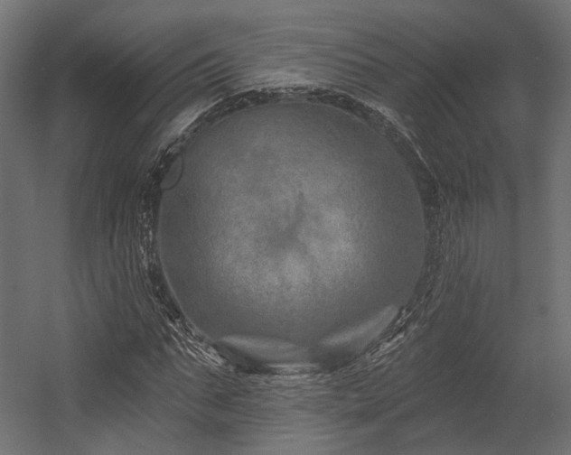 X0000054460871200507291345