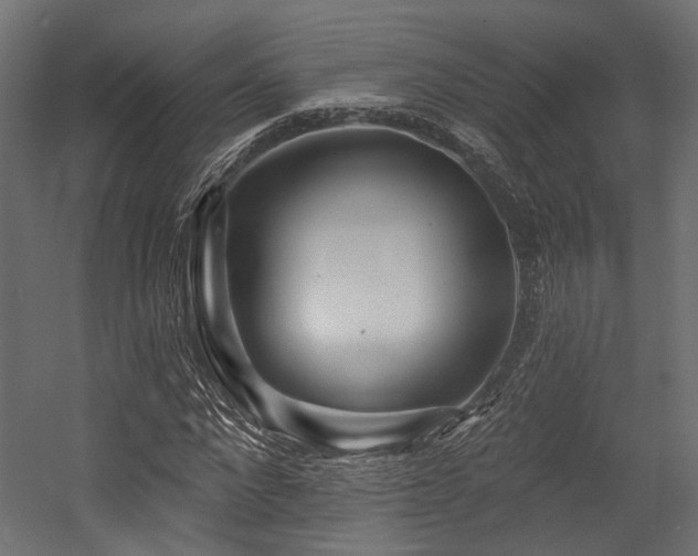 X0000054460872200507291345