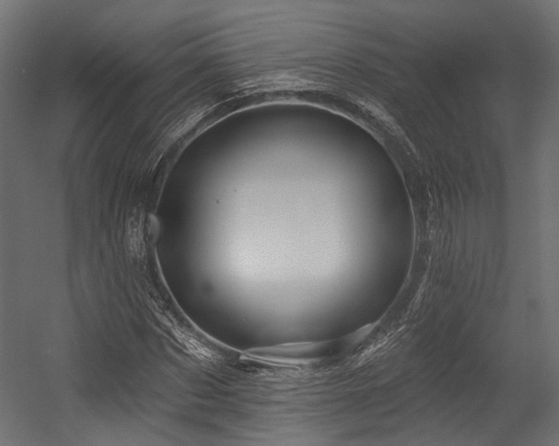 X0000054460873200507291345