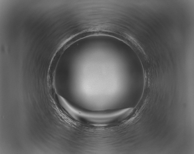 X0000054460876200507291345