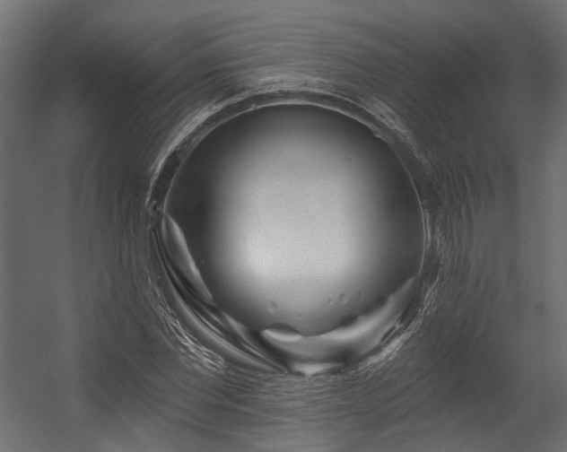 X0000054460877200507291345