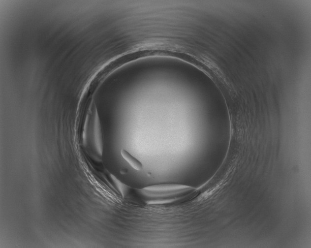 X0000054460880200507291345