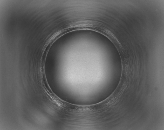 X0000054460882200507291345