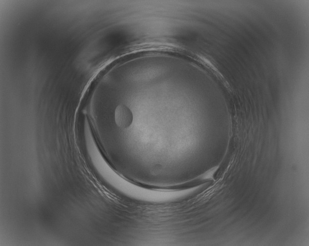 X0000054460883200507291345
