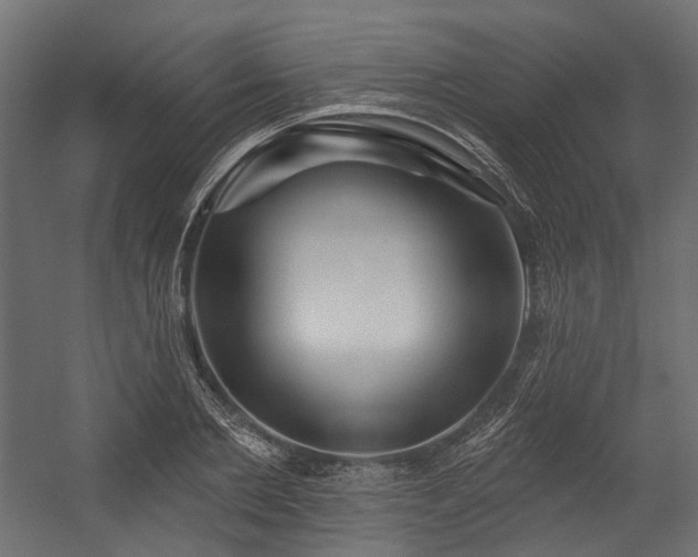 X0000054460885200507291345