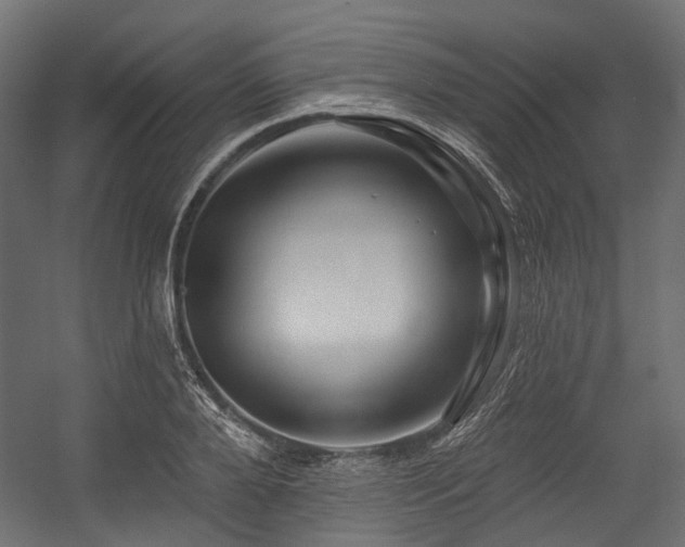X0000054460888200507291345