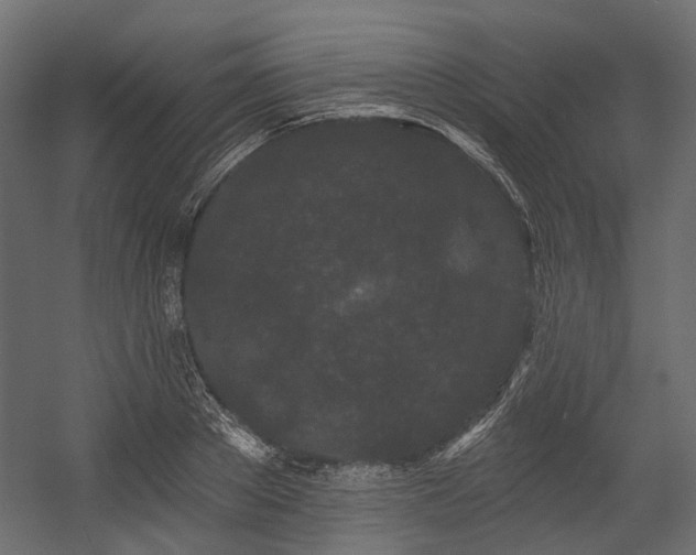 X0000054460889200507291345