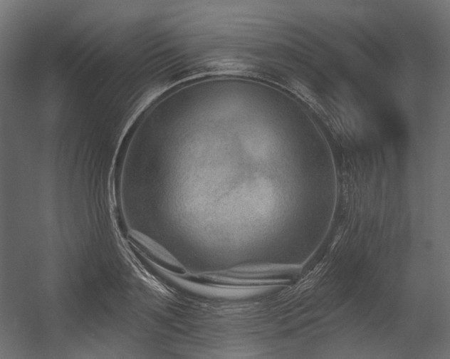X0000054460891200507291345