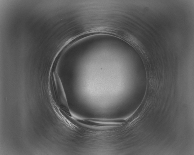 X0000054460892200507291345
