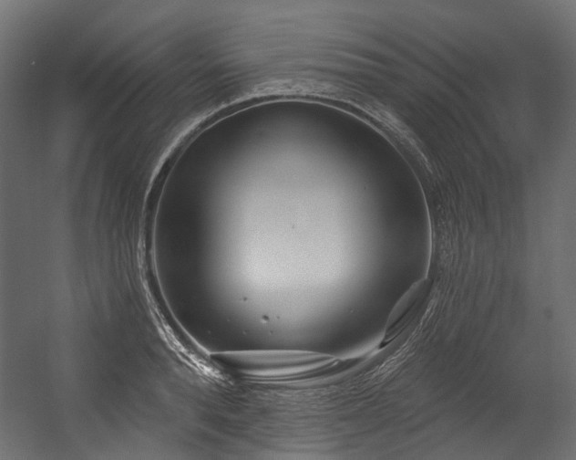 X0000054460896200507291345