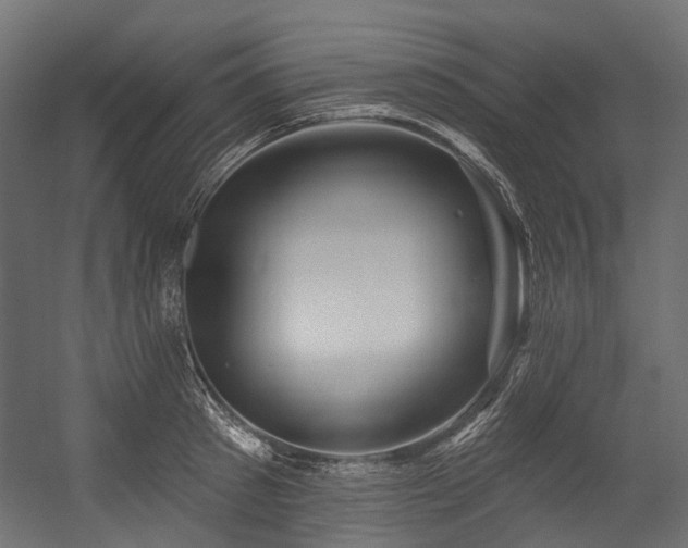X0000054460897200507291345