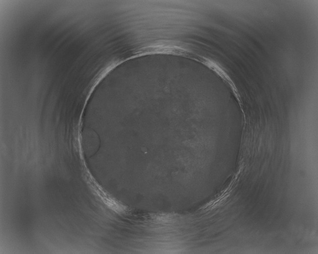 X0000054460899200507291345